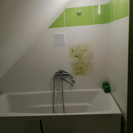 Guest house У Тіми *